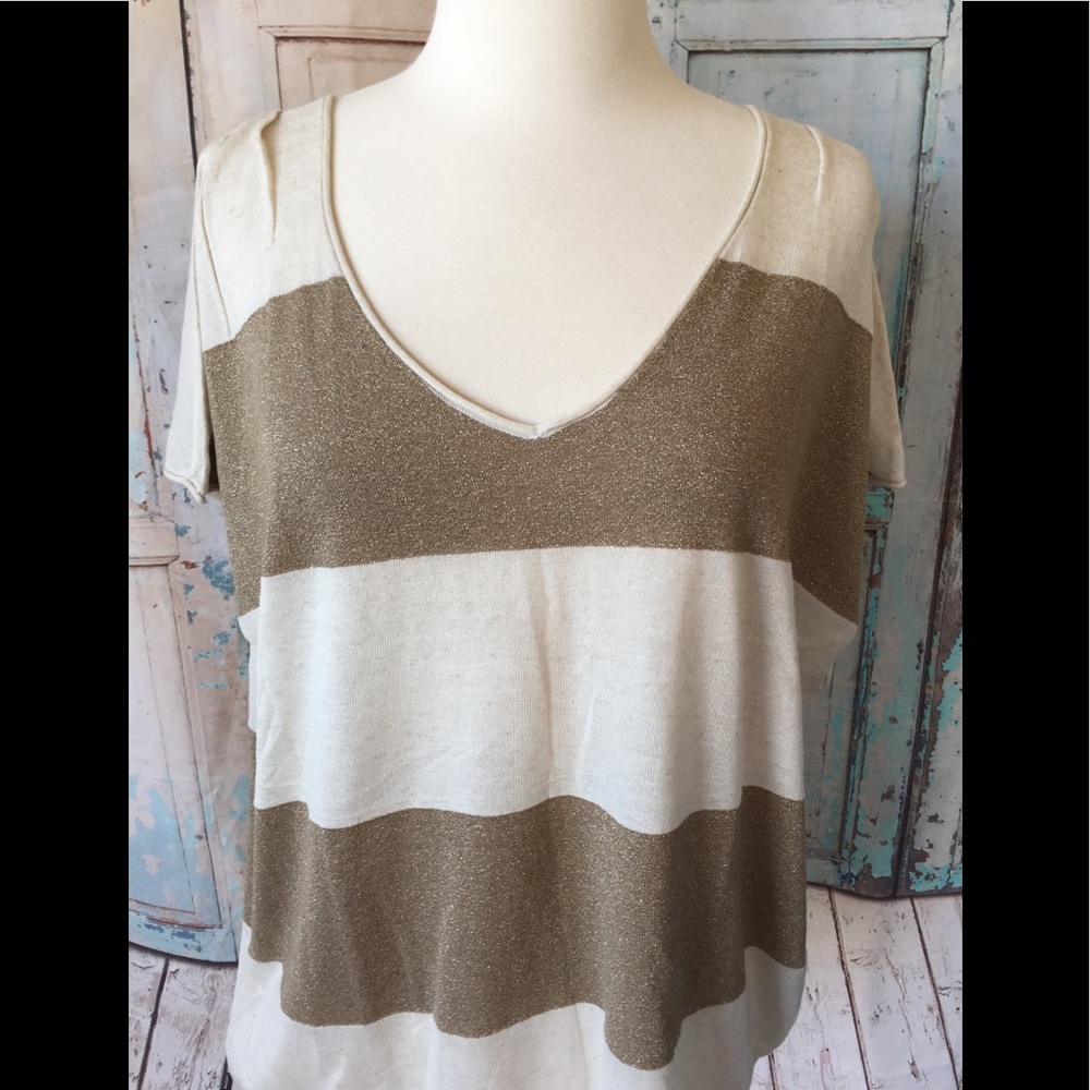 Ann Taylor Shirt